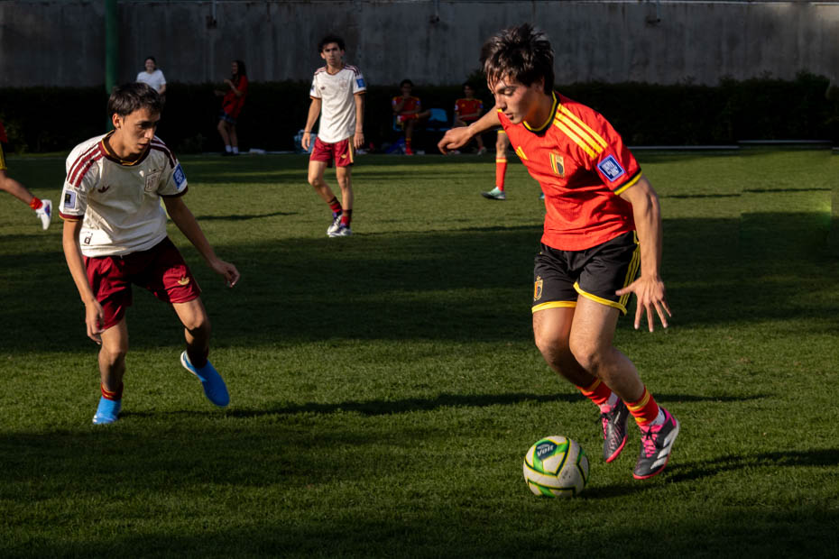 Ir a la Siguiente Foto