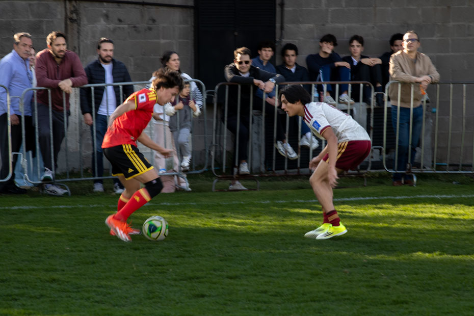 Ir a la Siguiente Foto