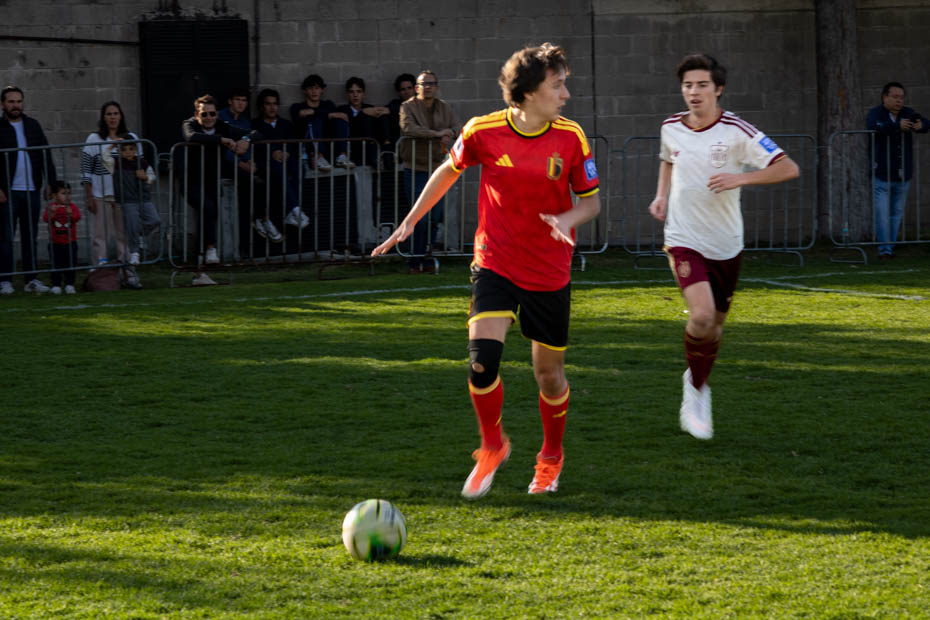 Ir a la Siguiente Foto