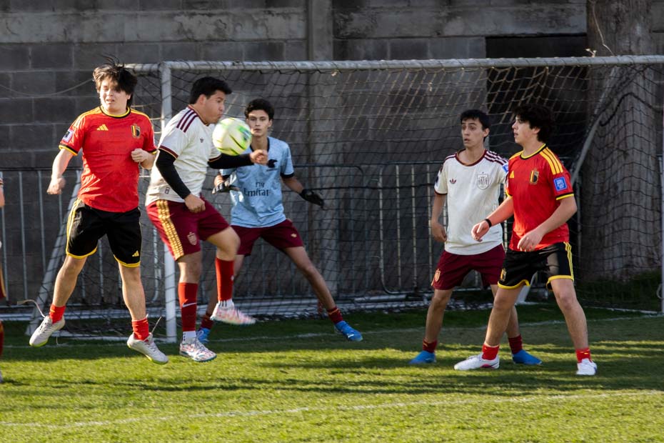 Ir a la Siguiente Foto