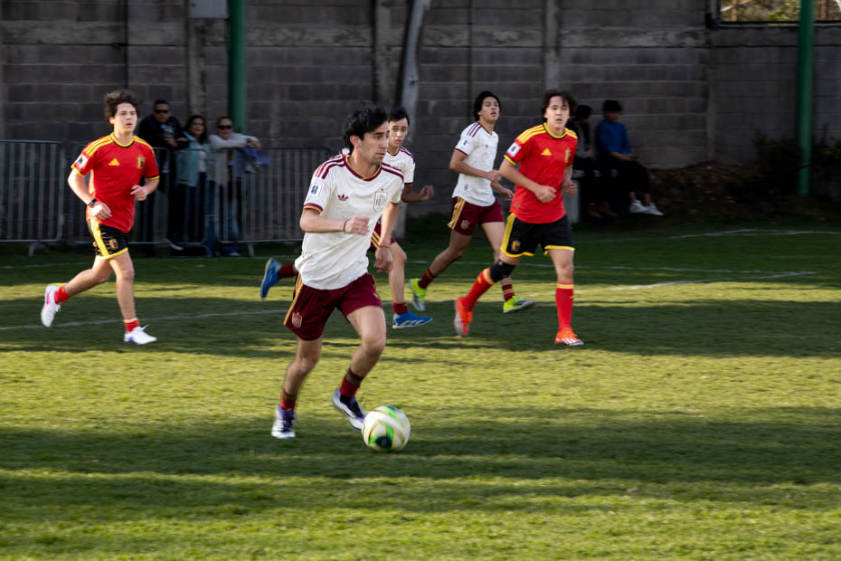 Ir a la Siguiente Foto