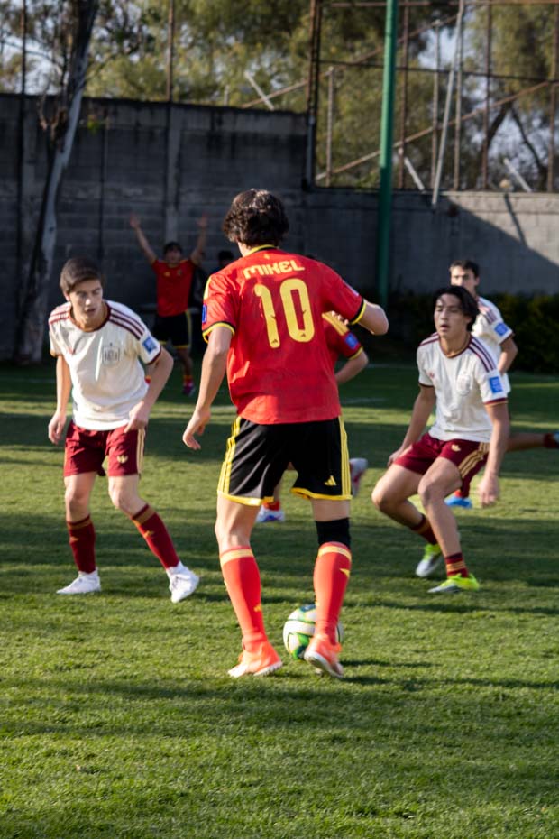 Ir a la Siguiente Foto