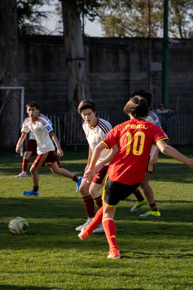 Ir a la Siguiente Foto