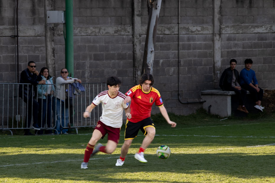 Ir a la Siguiente Foto