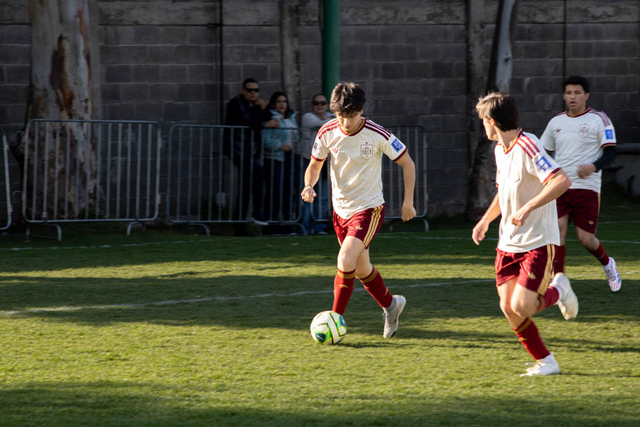 Ir a la Siguiente Foto