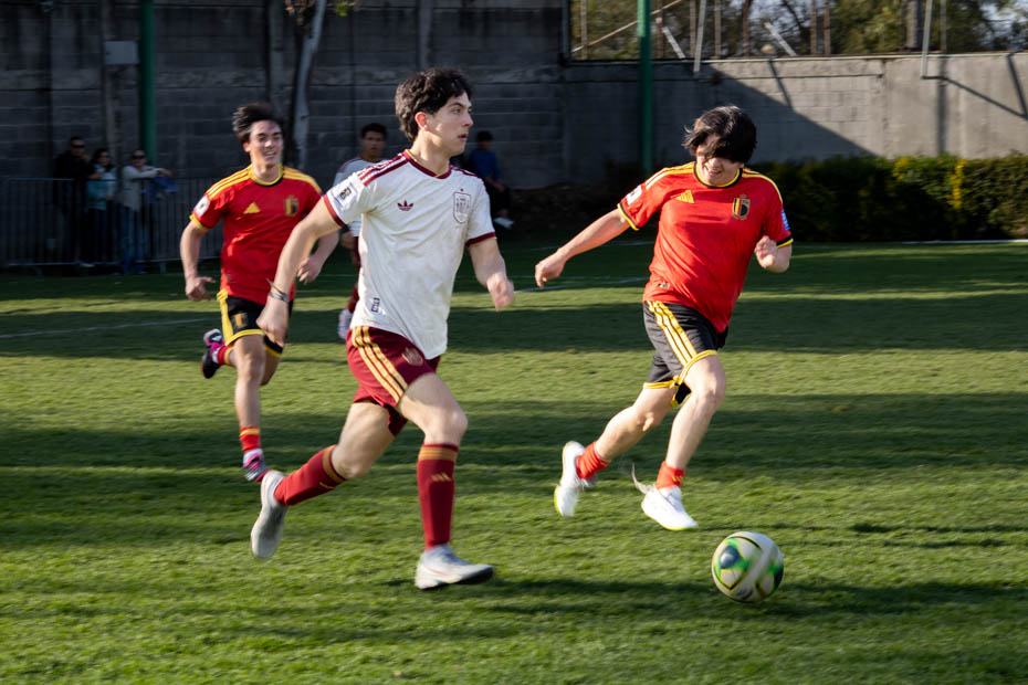 Ir a la Siguiente Foto