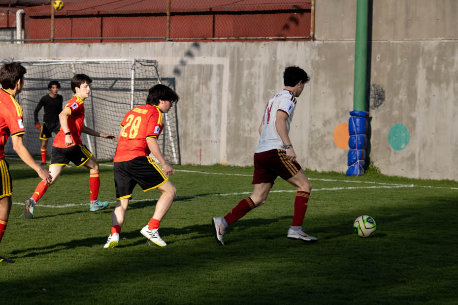 Ir a la Siguiente Foto