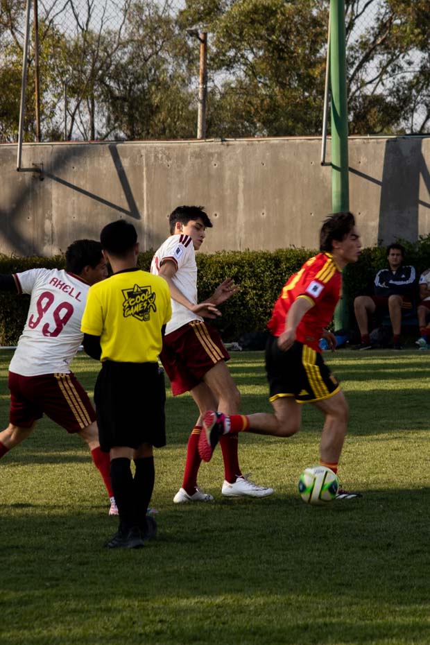 Ir a la Siguiente Foto