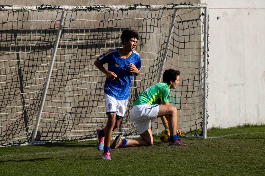 Ir a la Siguiente Foto