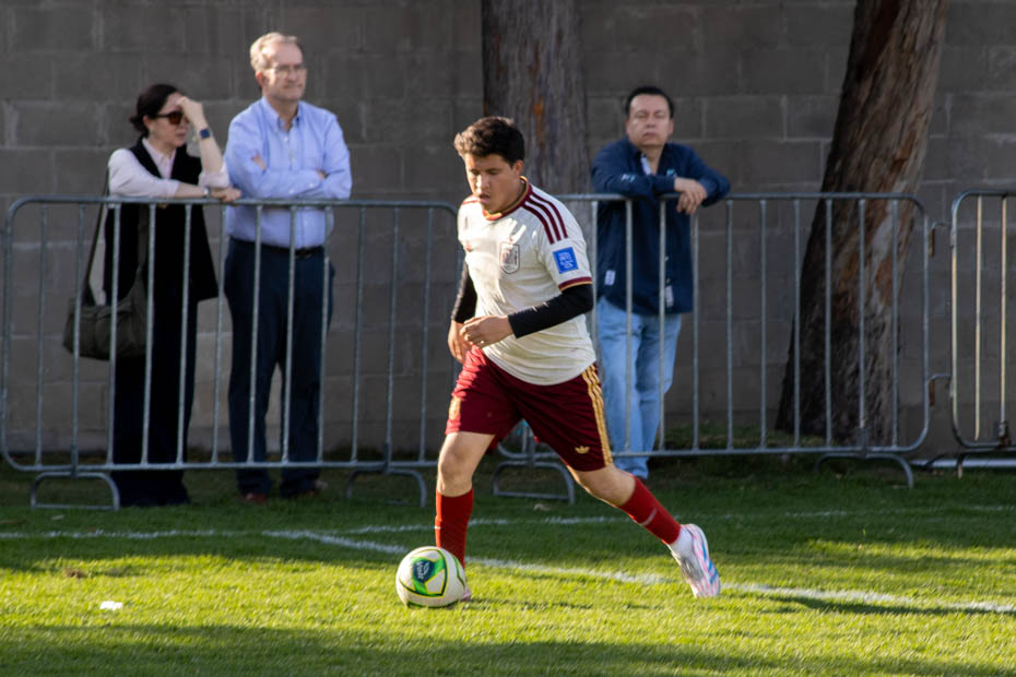 Ir a la Siguiente Foto