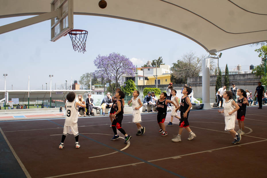 Ir a la Siguiente Foto