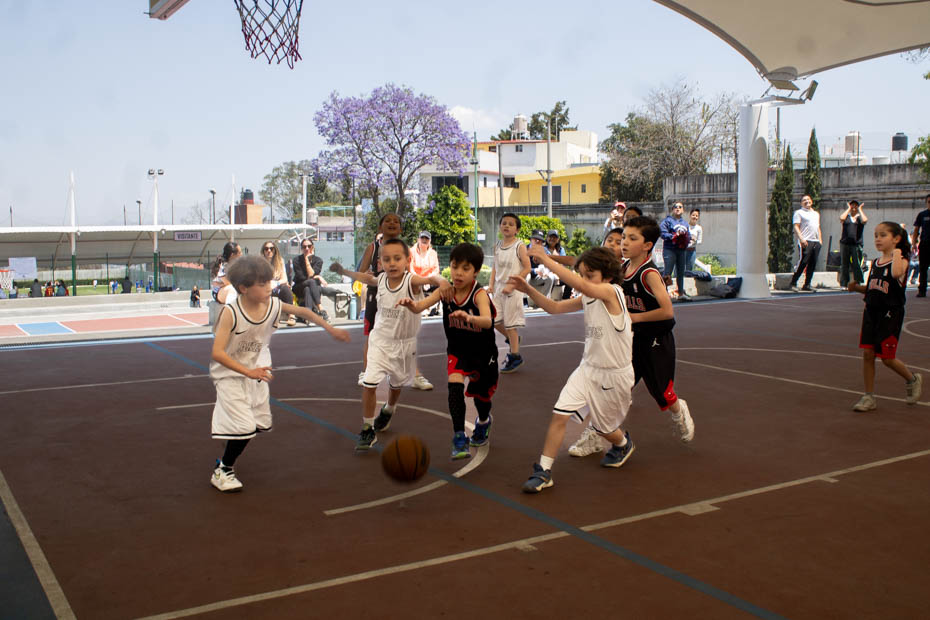 Ir a la Siguiente Foto