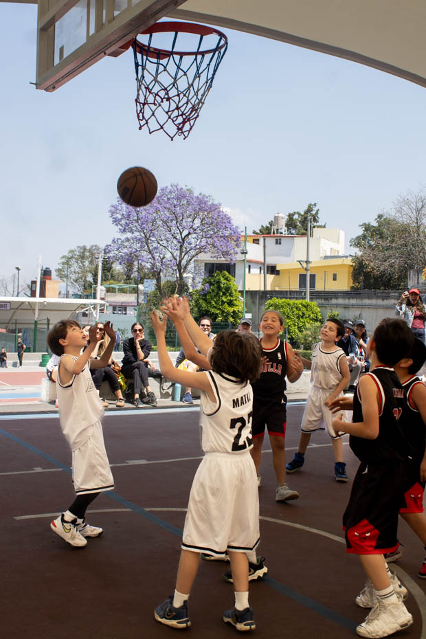 Ir a la Siguiente Foto