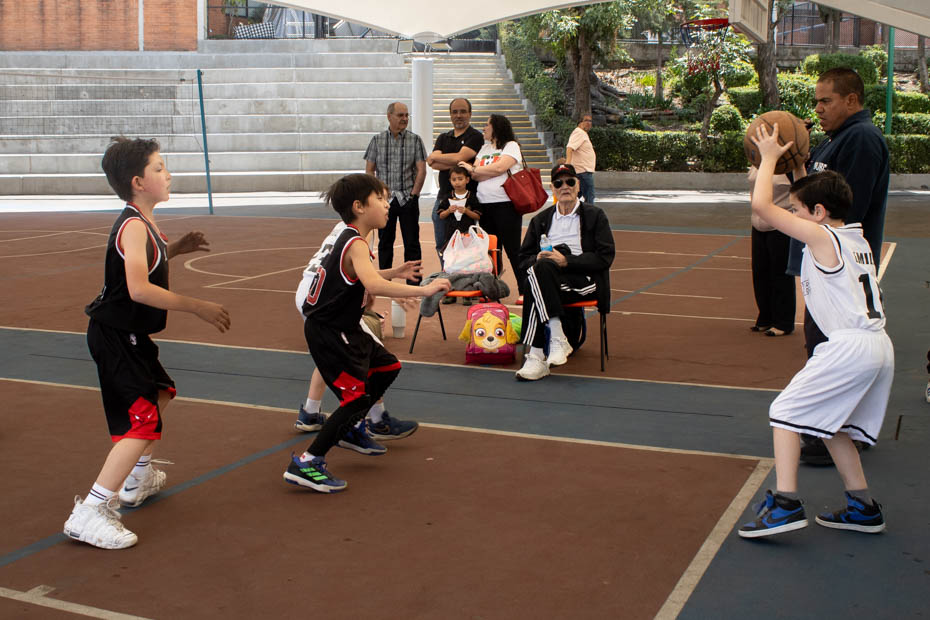 Ir a la Siguiente Foto