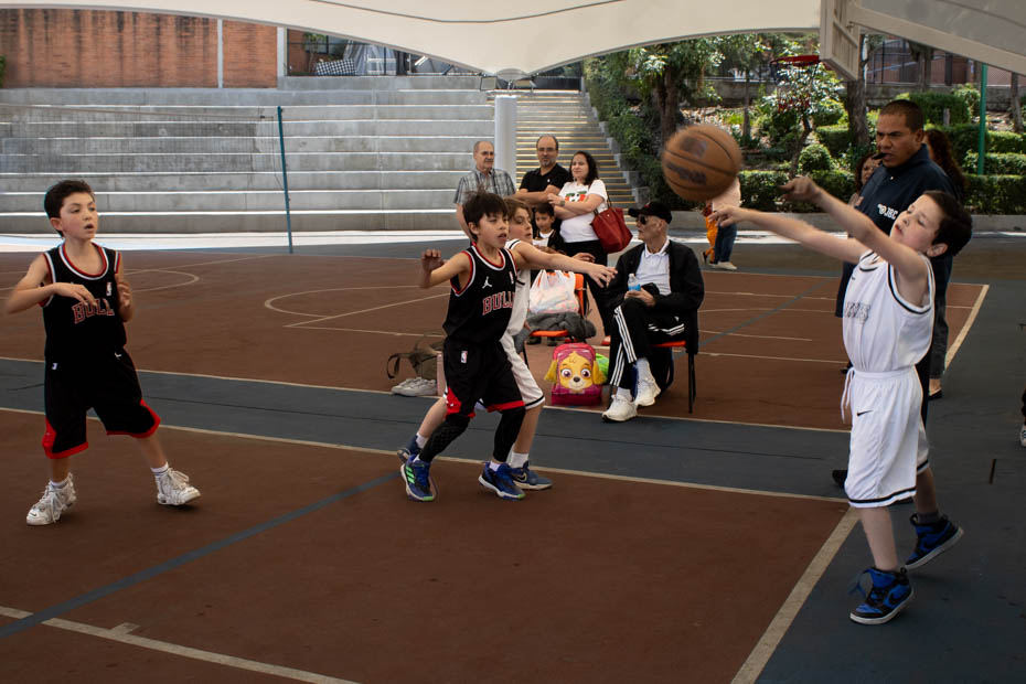 Ir a la Siguiente Foto