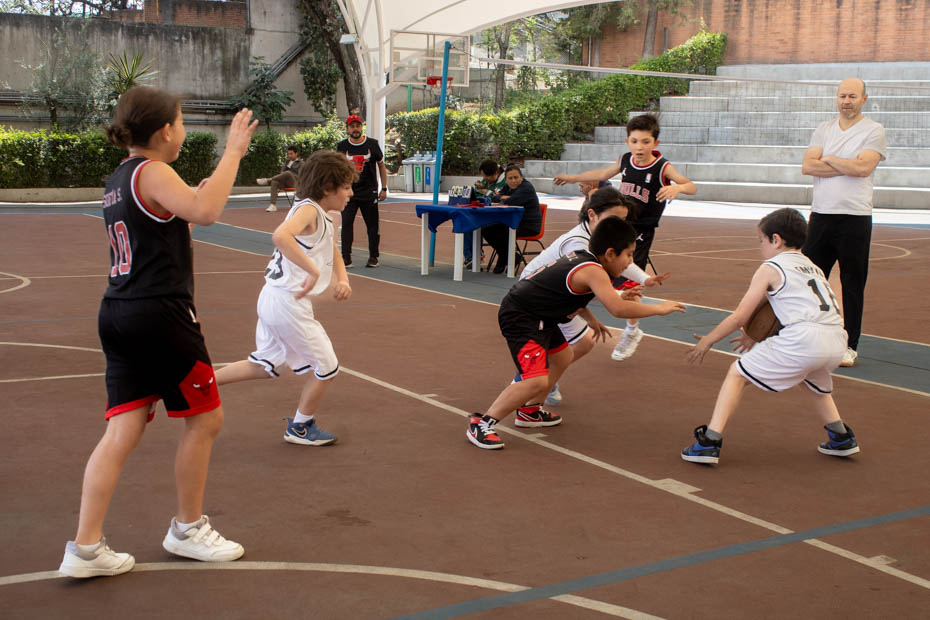 Ir a la Siguiente Foto