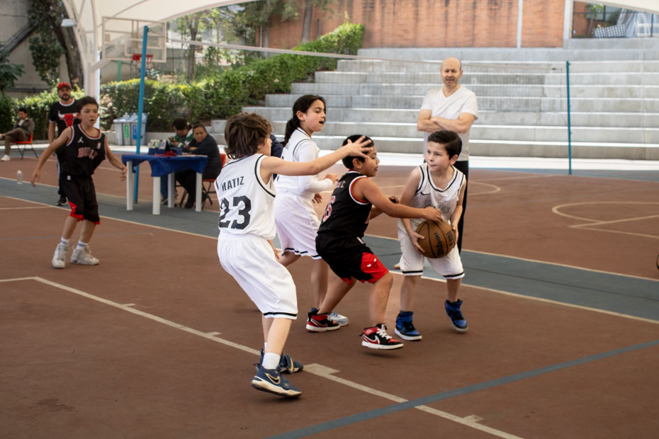 Ir a la Siguiente Foto