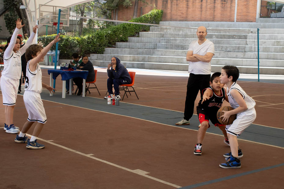 Ir a la Siguiente Foto