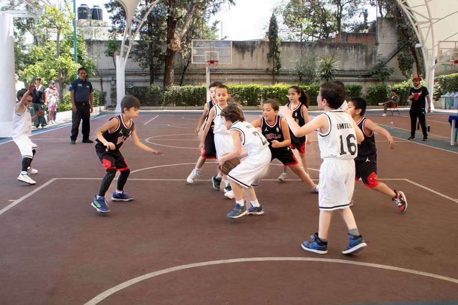 Ir a la Siguiente Foto