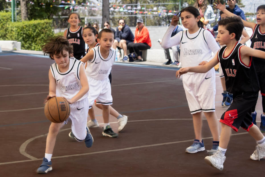 Ir a la Siguiente Foto