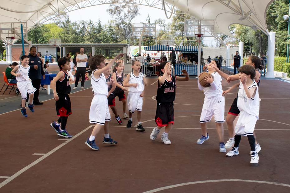 Ir a la Siguiente Foto