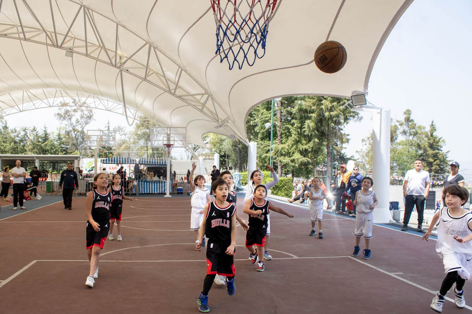 Ir a la Siguiente Foto