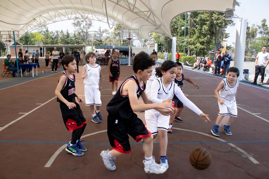 Ir a la Siguiente Foto