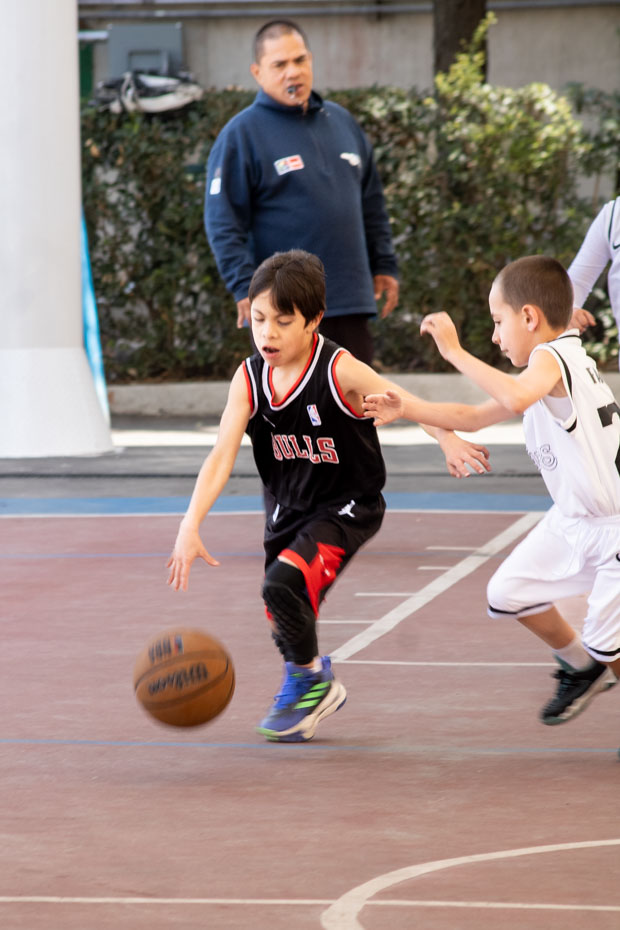 Ir a la Siguiente Foto