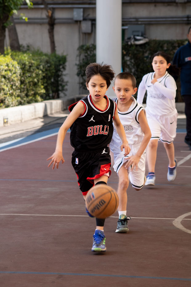 Ir a la Siguiente Foto