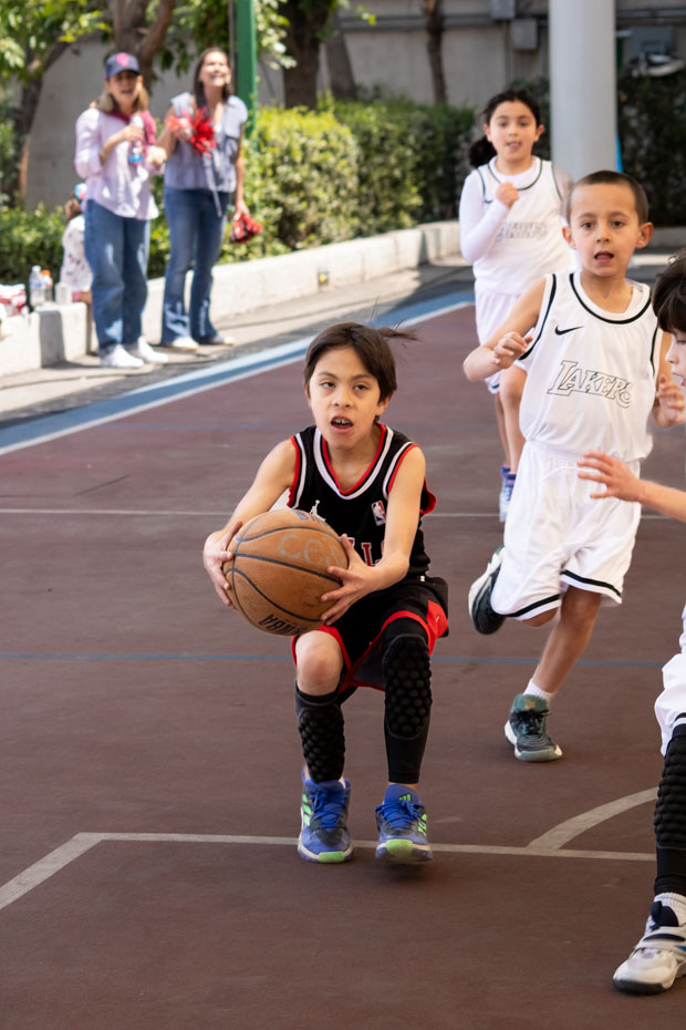 Ir a la Siguiente Foto