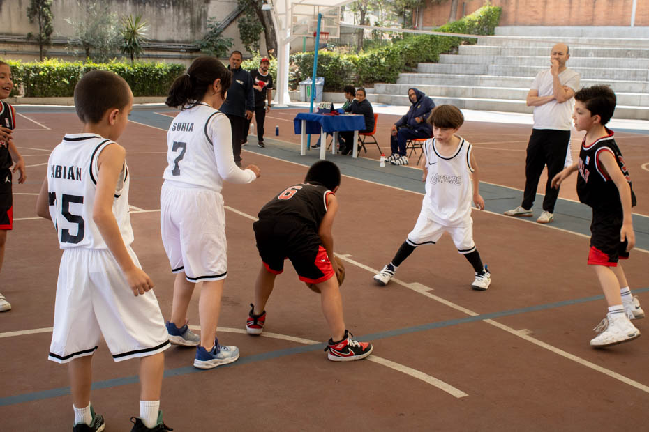 Ir a la Siguiente Foto