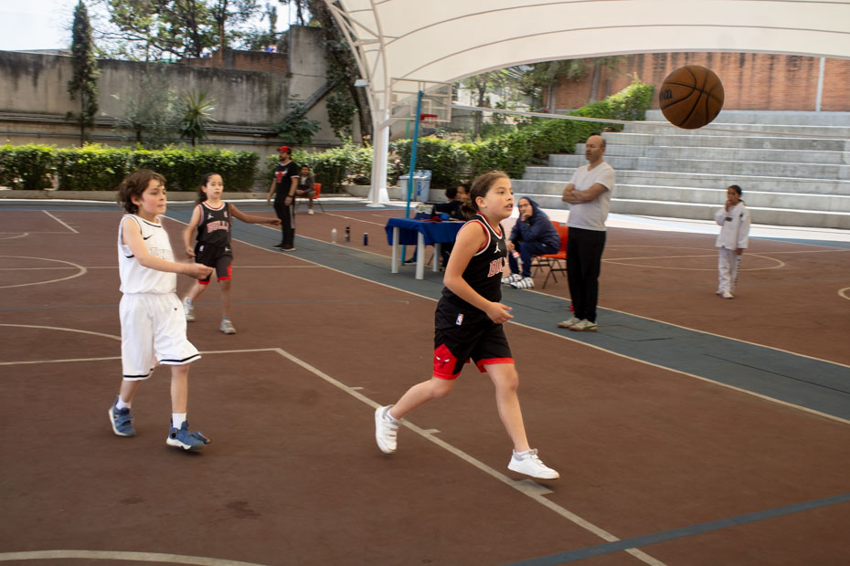 Ir a la Siguiente Foto