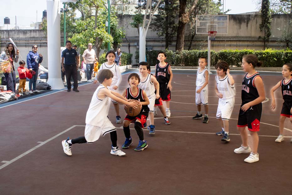 Ir a la Siguiente Foto