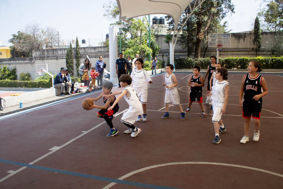 Ir a la Siguiente Foto