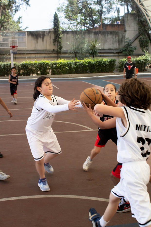 Ir a la Siguiente Foto