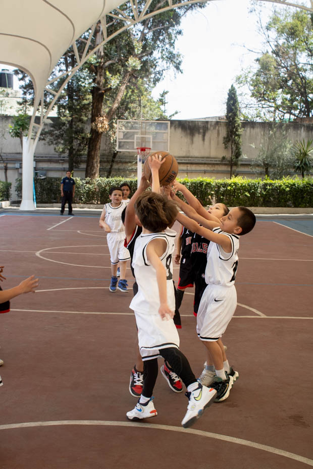 Ir a la Siguiente Foto