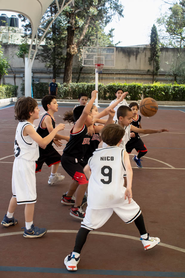 Ir a la Siguiente Foto