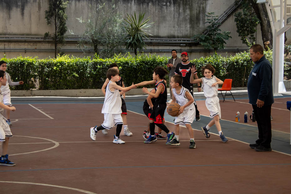 Ir a la Siguiente Foto