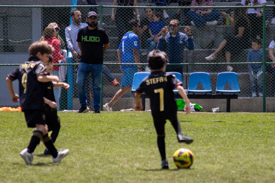 Ir a la Siguiente Foto