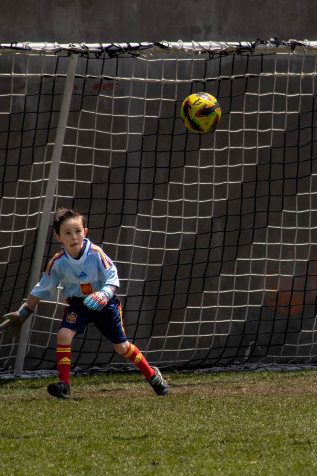 Ir a la Siguiente Foto