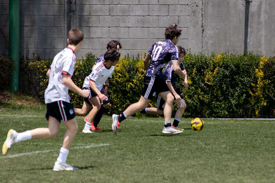 Ir a la Siguiente Foto