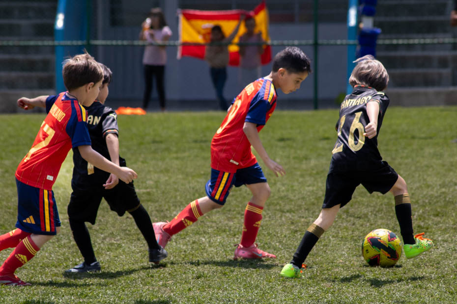 Ir a la Siguiente Foto