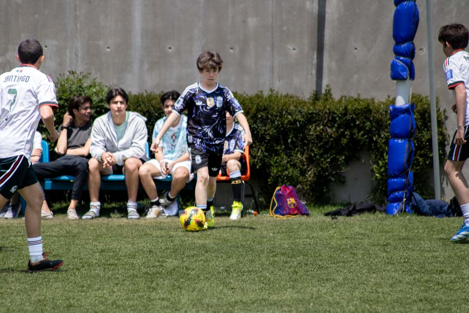 Ir a la Siguiente Foto