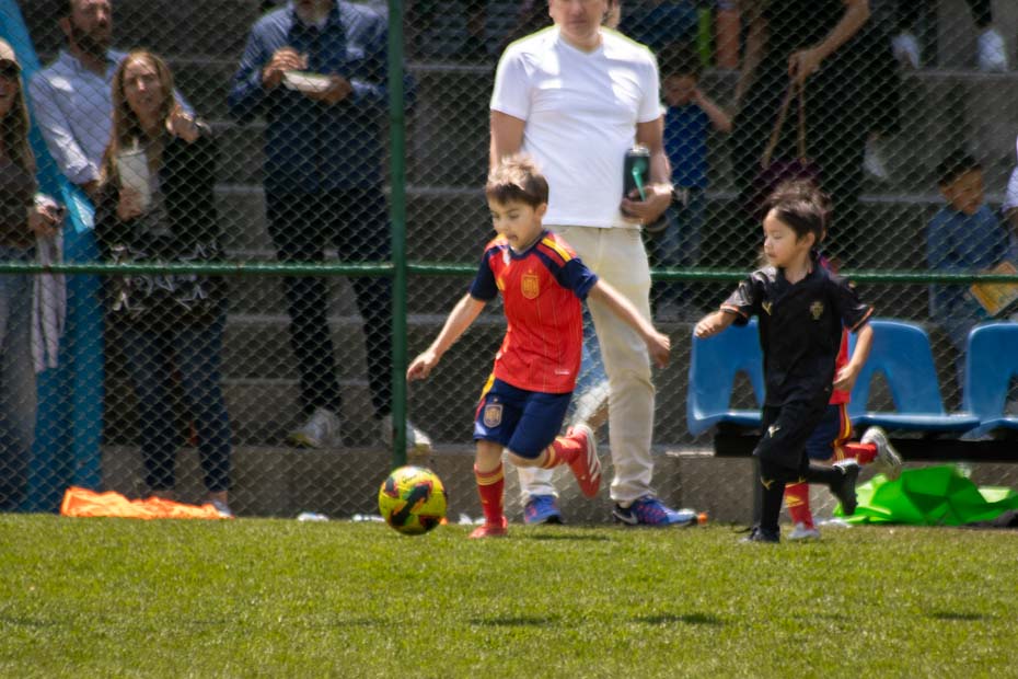 Ir a la Siguiente Foto