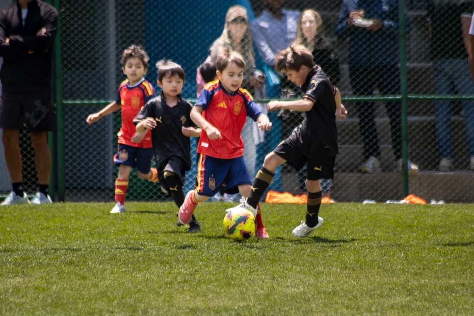 Ir a la Siguiente Foto