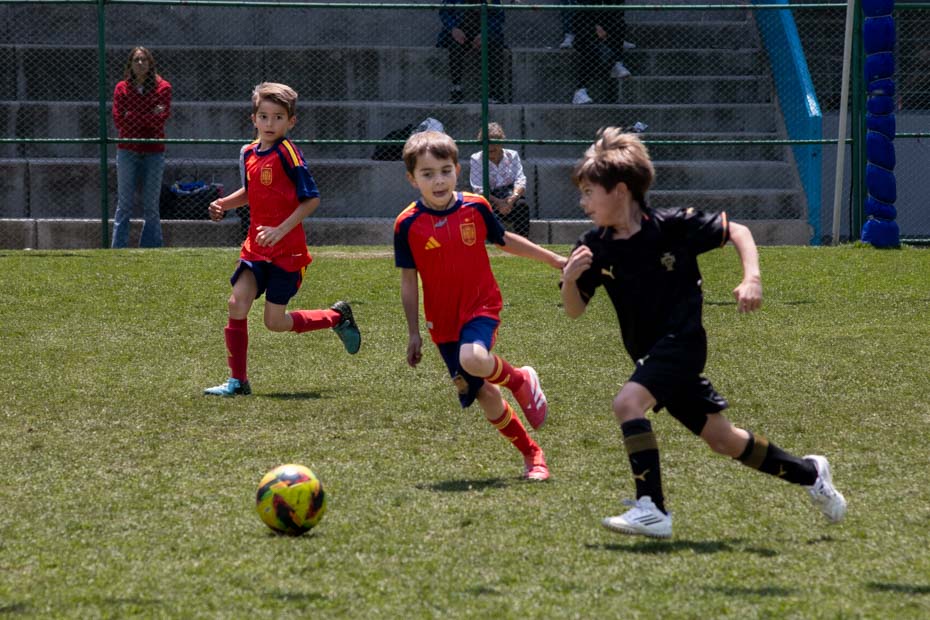 Ir a la Siguiente Foto