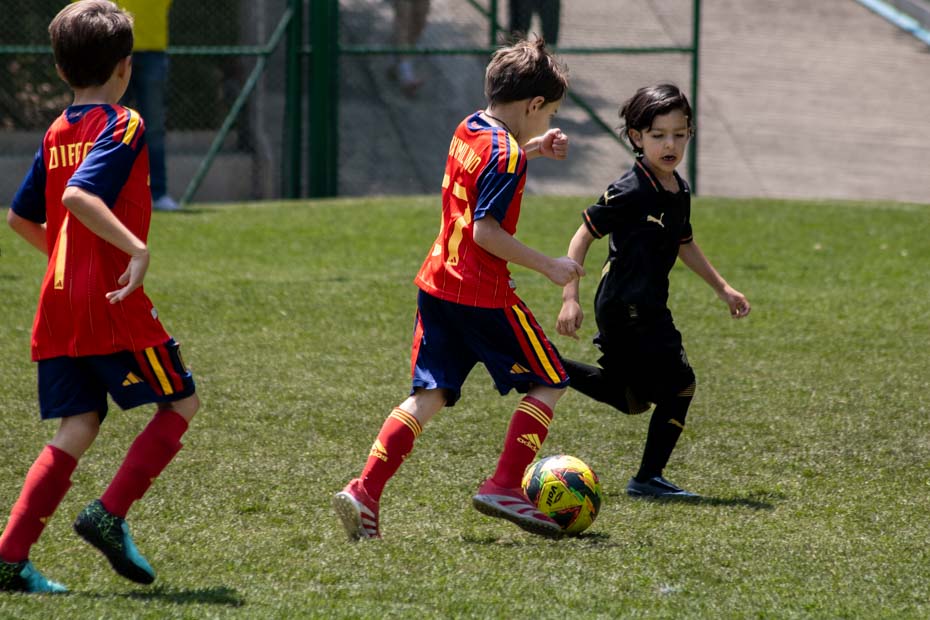 Ir a la Siguiente Foto