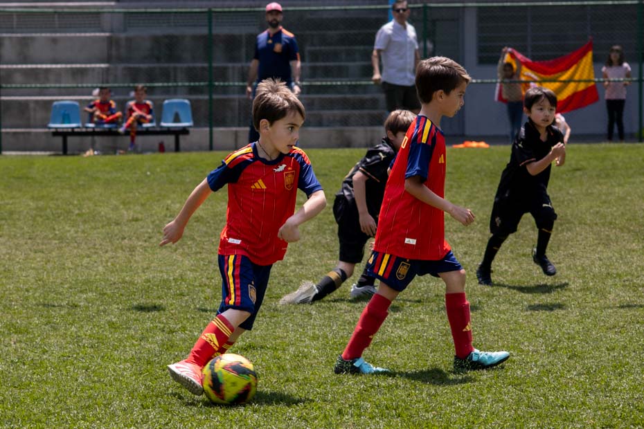 Ir a la Siguiente Foto