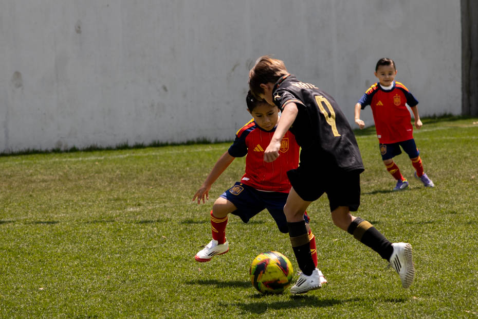 Ir a la Siguiente Foto