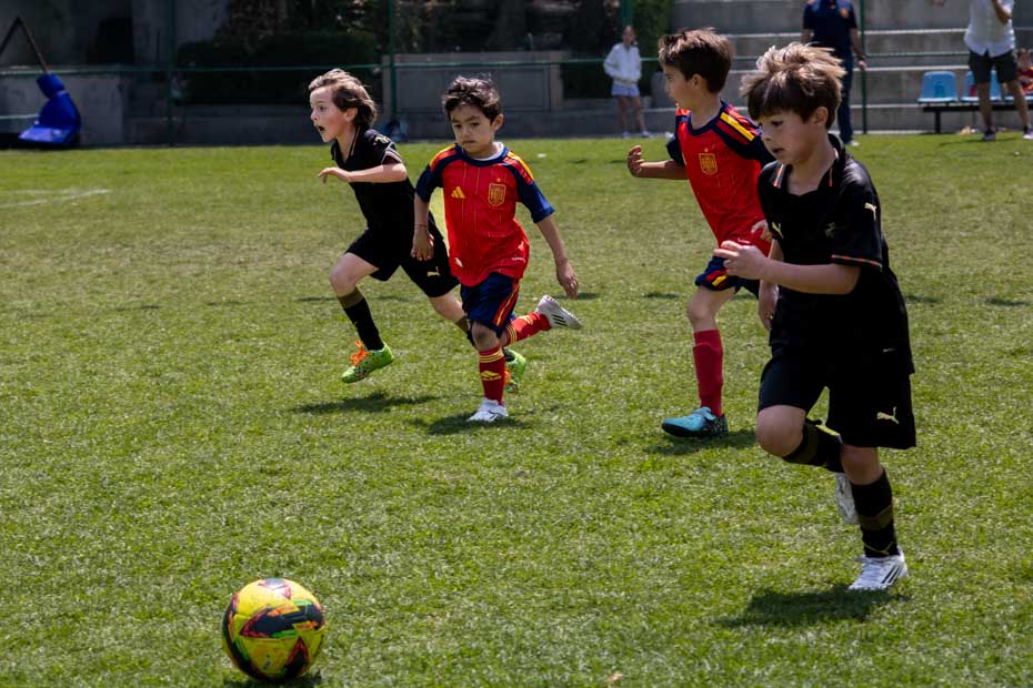 Ir a la Siguiente Foto